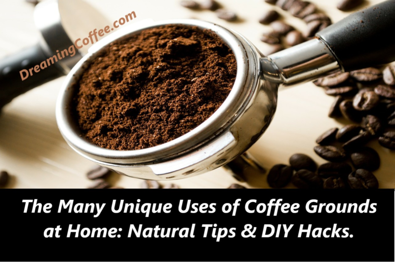 The Many Unique Uses of Coffee Grounds at Home: Natural Tips & DIY Hacks.
