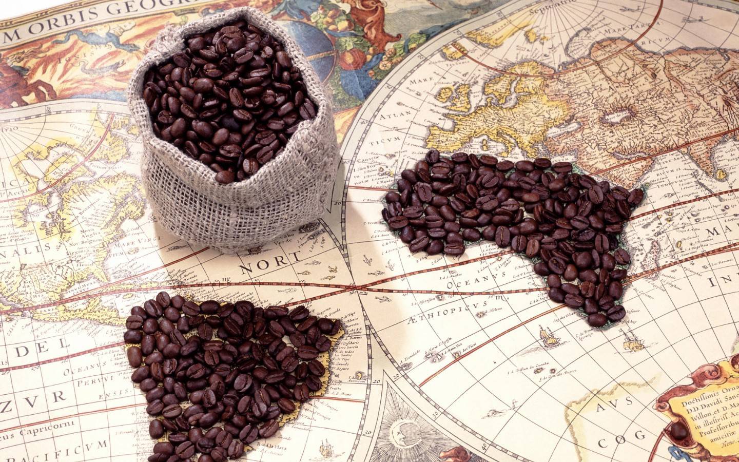Coffee Beans on a Map